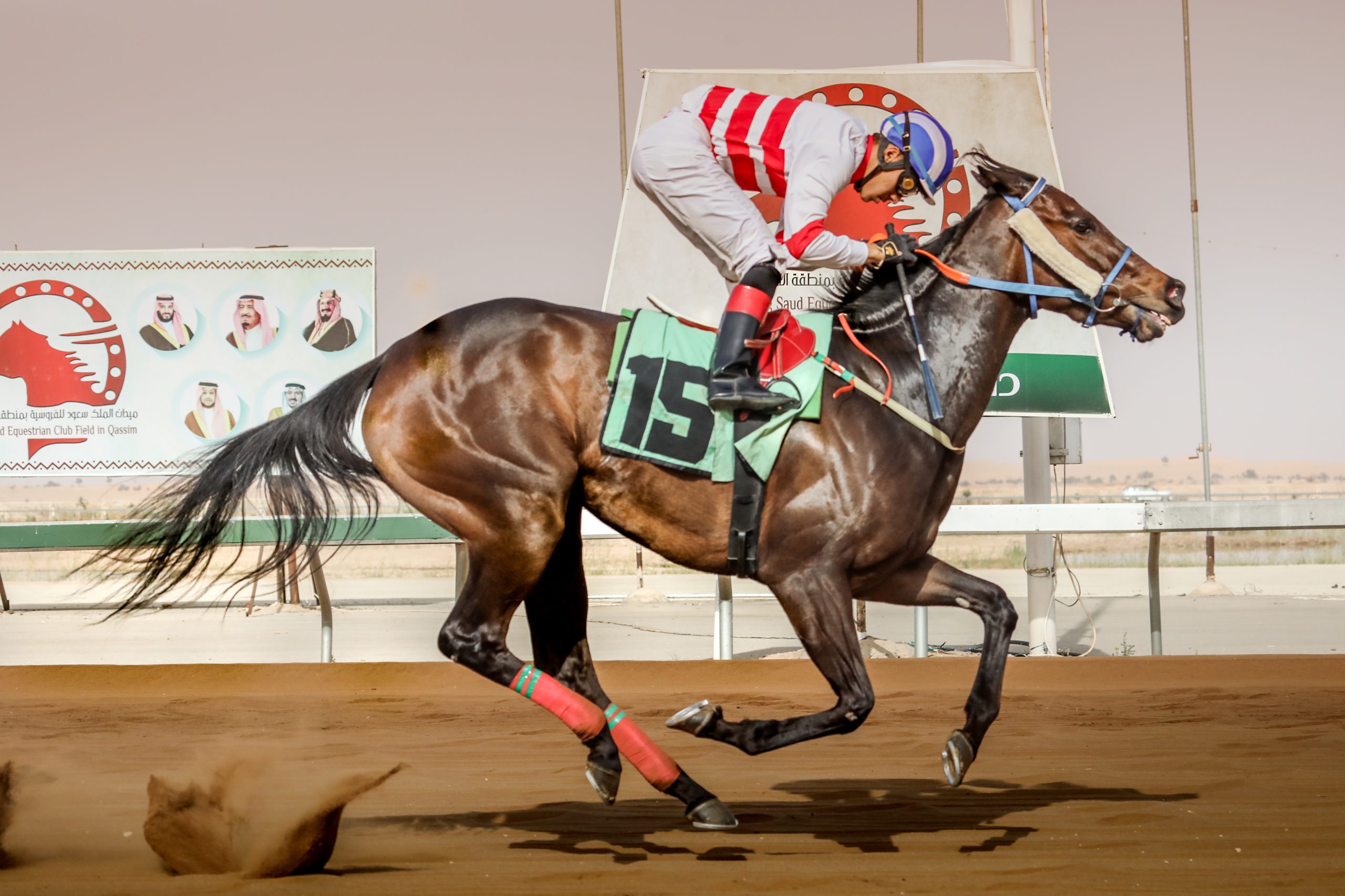 Horse Race at King Saud Equestrian Club, Al Qassim Buraidah